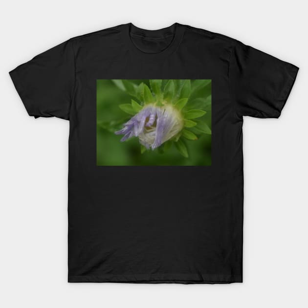 Purple flower with rain drops T-Shirt by ToniaDelozier